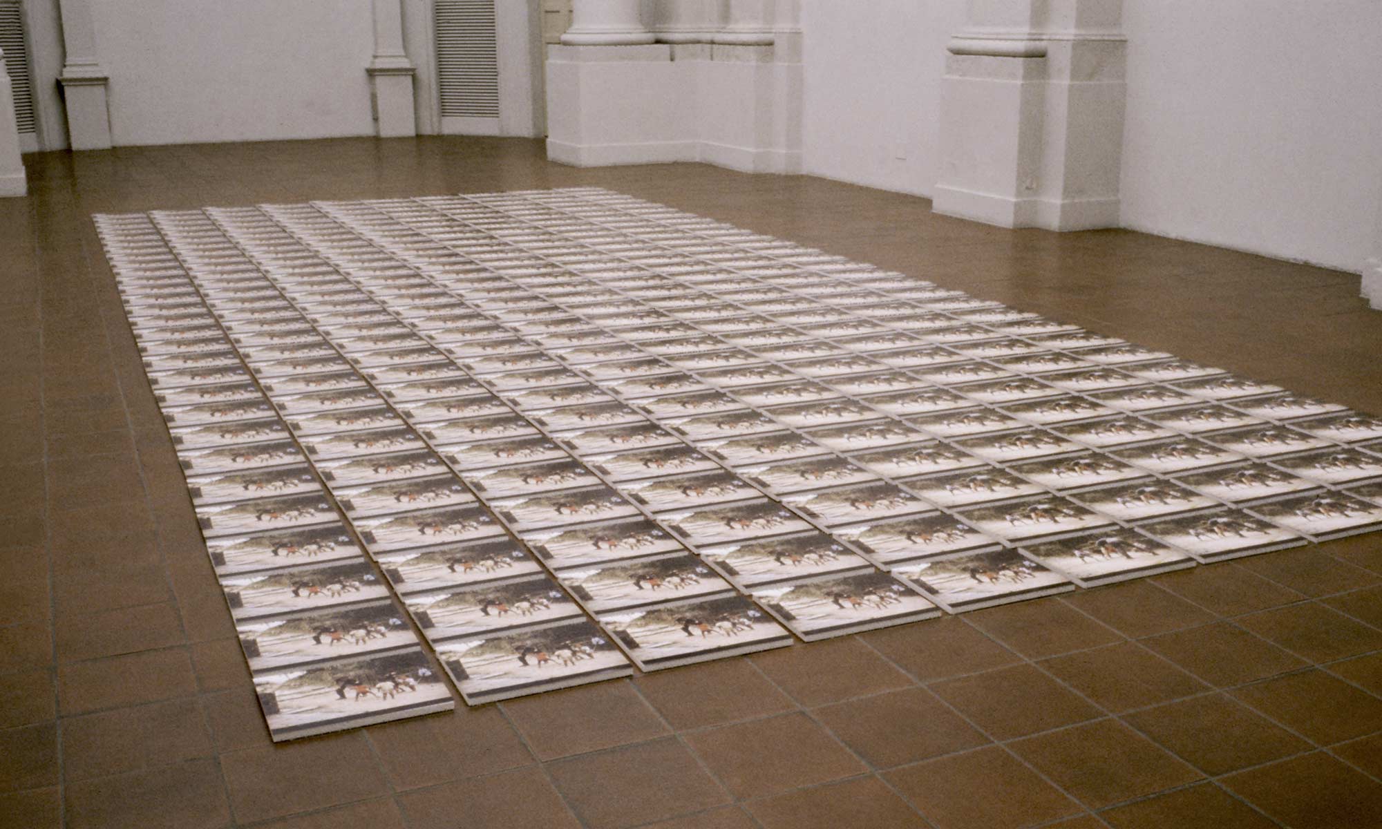 A fine line between.