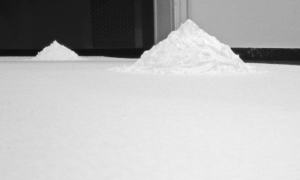 Architetto del mondo.