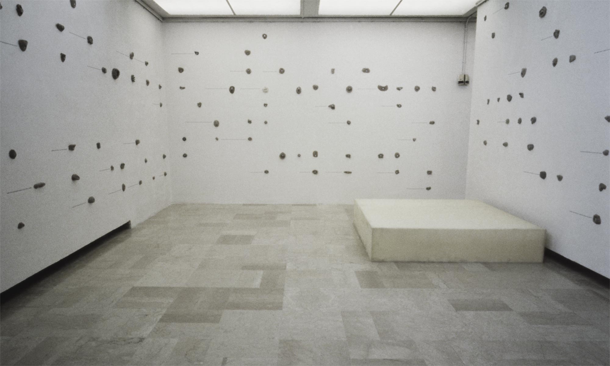 Oltre il cammino loro del tuo